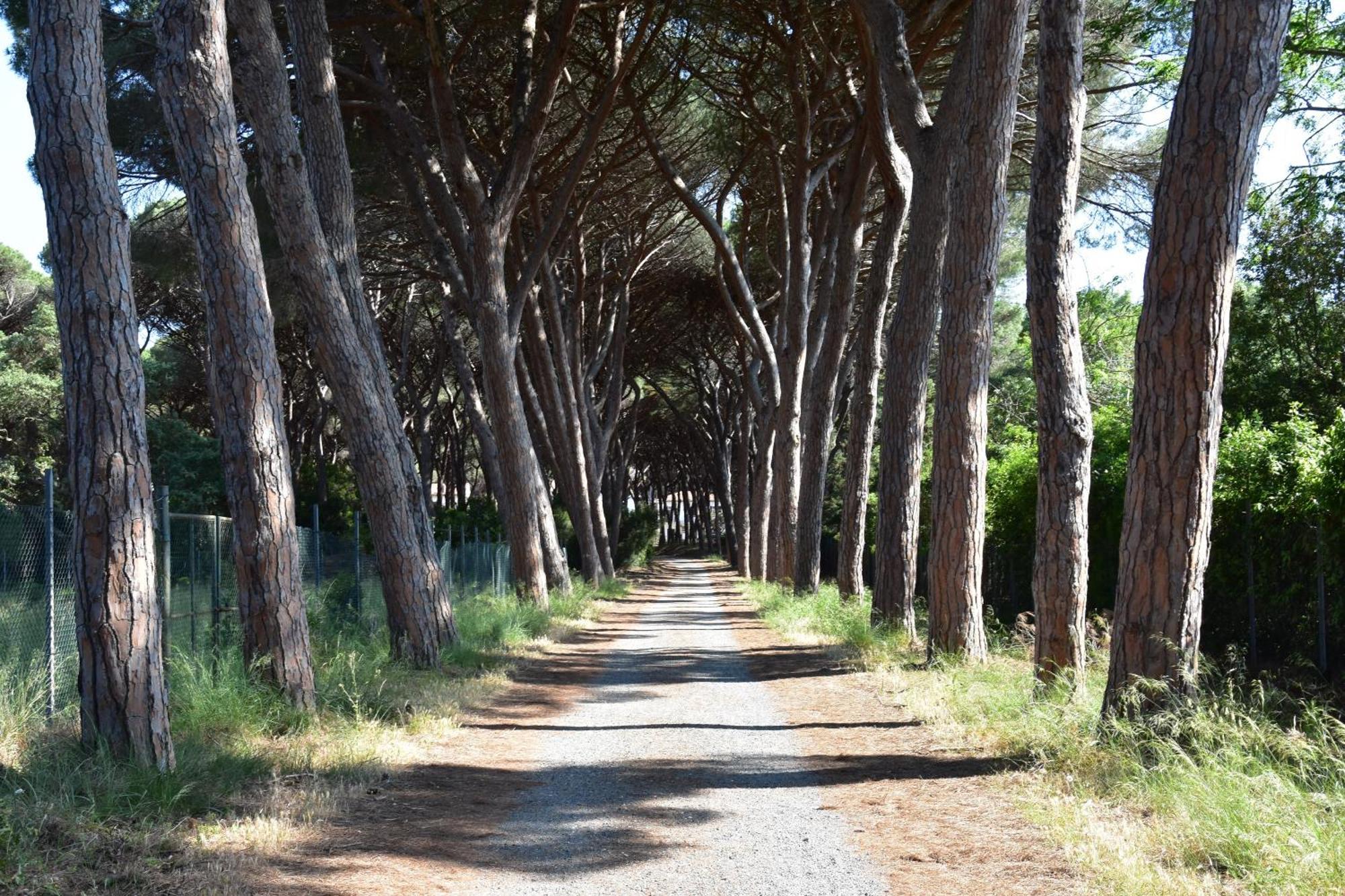 Tuscan Sunrise Porto Santo Stefano  Εξωτερικό φωτογραφία